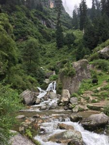 Cascada vashisht 