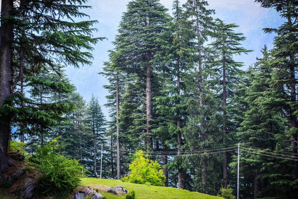 qué hacer en manali