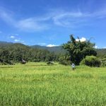 qué hacer en pai en 2 días