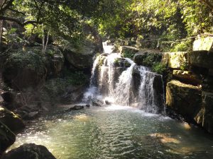 bañarse en jardín botánico phong nha